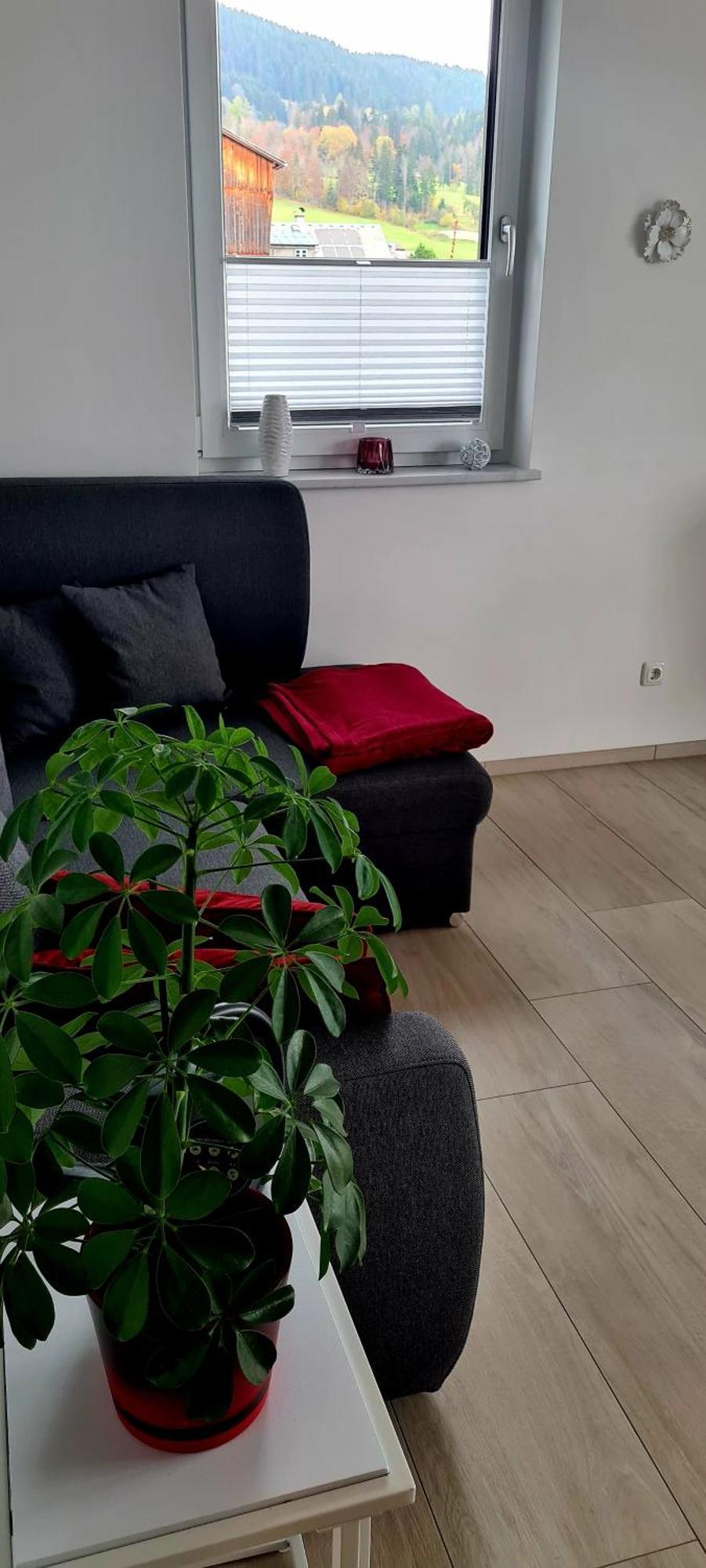 Ferienwohnungen Bergpanorama Bad Mitterndorf Habitación foto